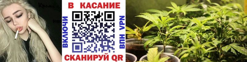Купить наркотики цена Тимашёвск ГАШИШ АМФЕТАМИН Меф КЕТАМИН А ПВП МЕГА онион Бошки Шишки