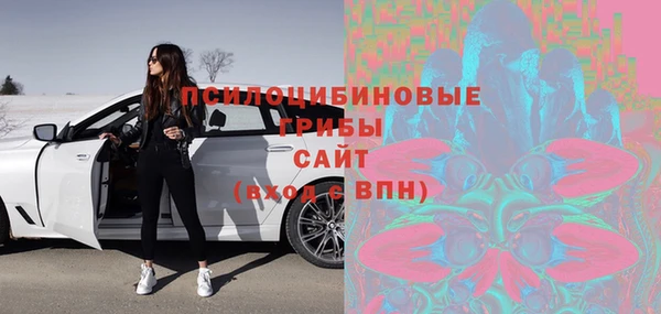 героин Алексин
