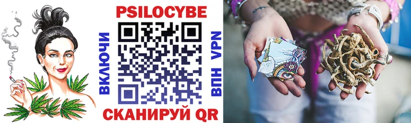 купить   Тимашёвск  Галлюциногенные грибы MAGIC MUSHROOMS 
